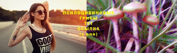 spice Абинск