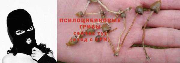 марки lsd Бежецк