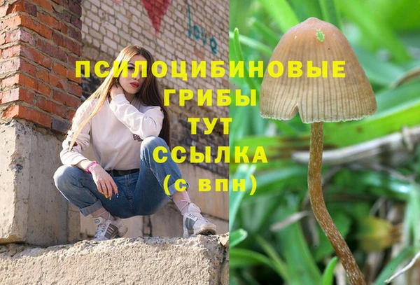 spice Абинск