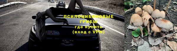 spice Абинск