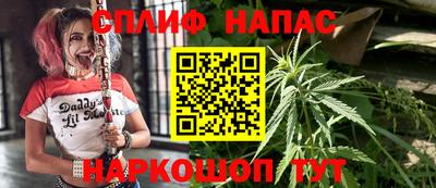 наркотики Дубна