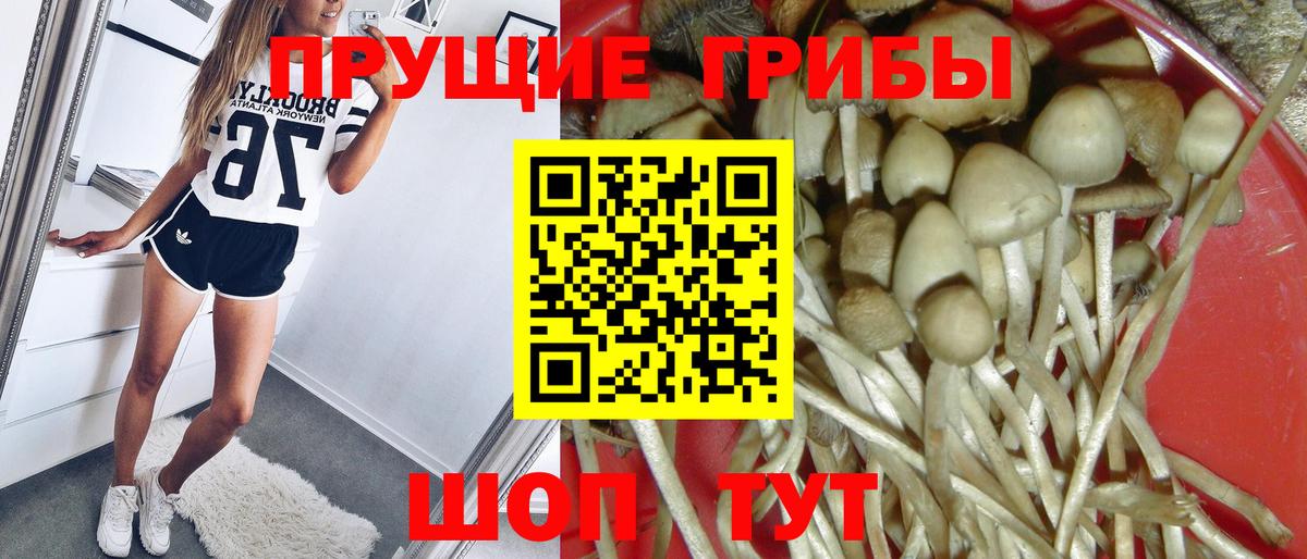Галлюциногенные грибы ЛСД Вичуга
